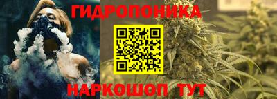 винт Краснодар