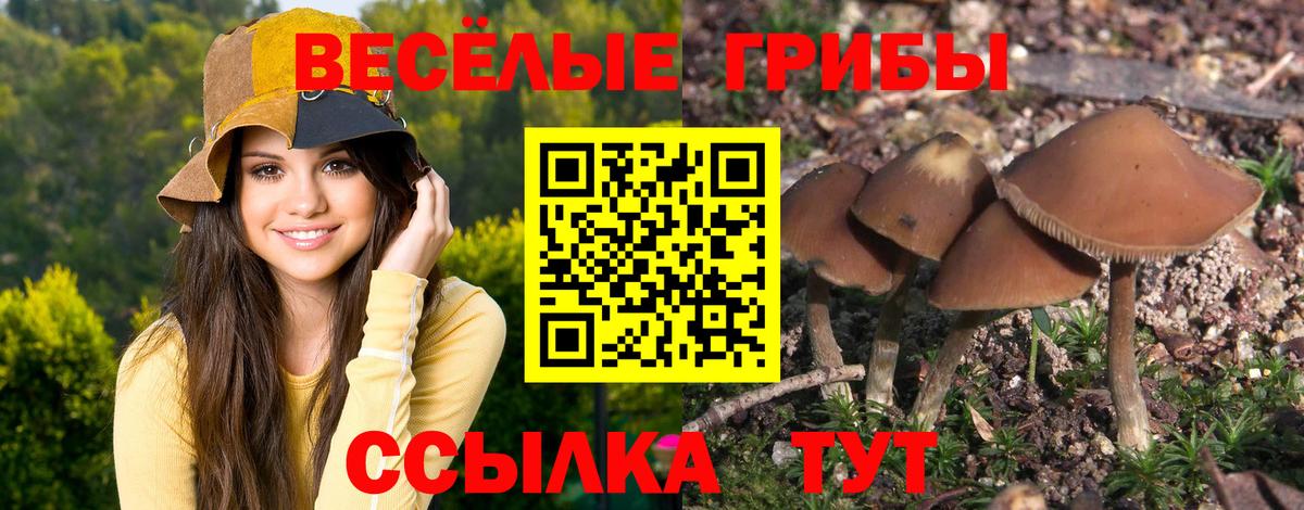 хочу наркоту  Вход с VPN  Алапаевск  Галлюциногенные грибы GOLDEN TEACHER  Галлюциногенные грибы GOLDEN TEACHER 